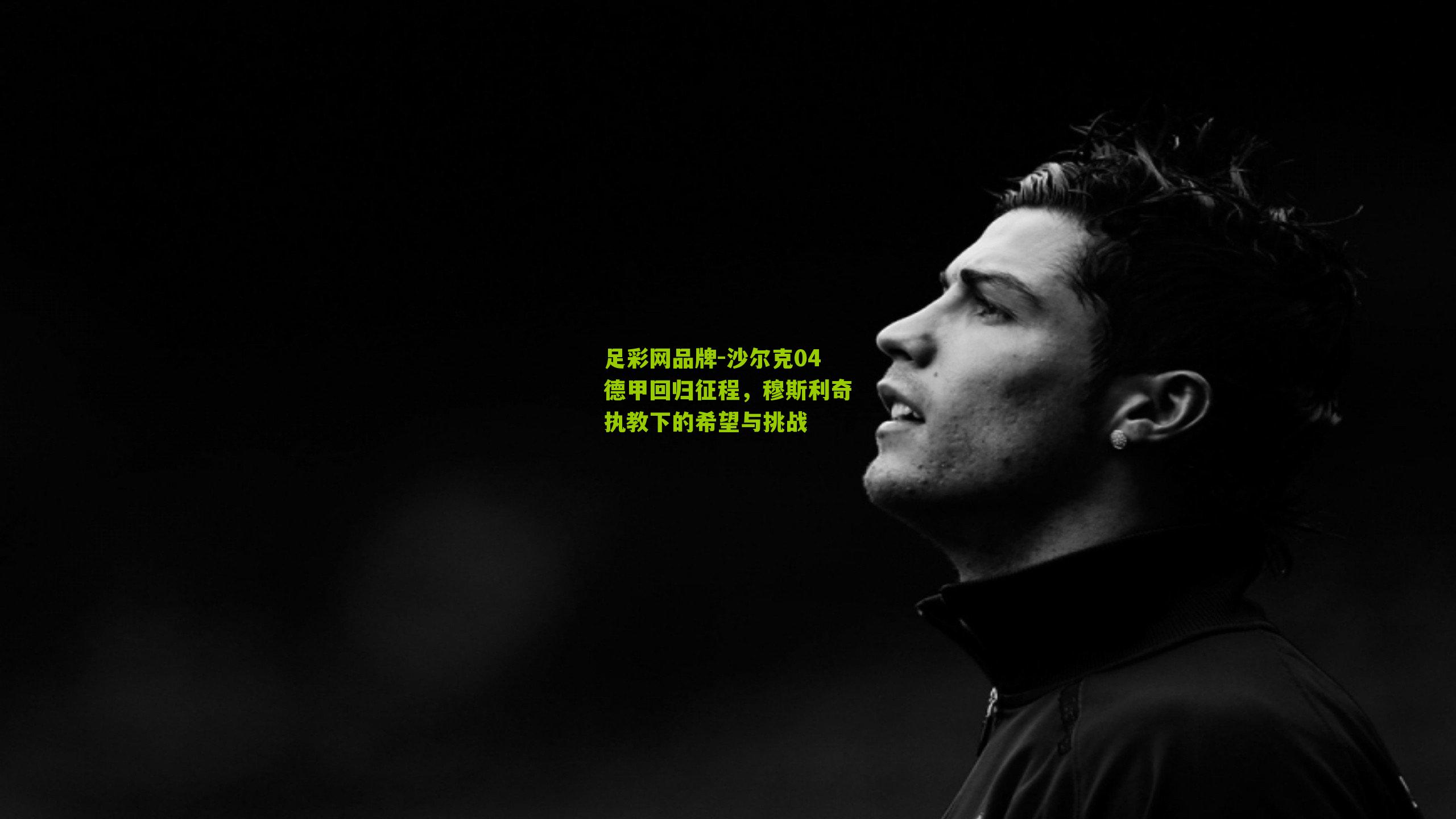 足彩网品牌-沙尔克04德甲回归征程，穆斯利奇执教下的希望与挑战